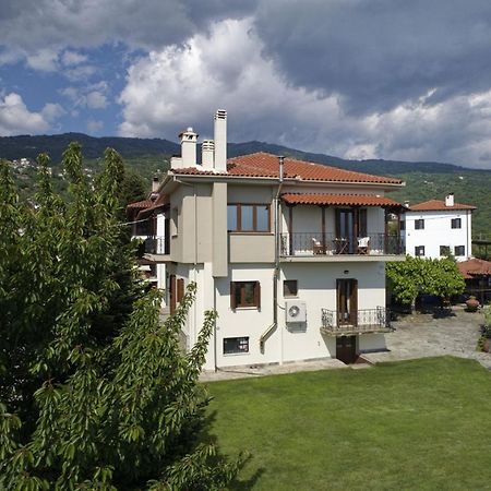 Iatrou House- Villa With Incredible View Портария Экстерьер фото